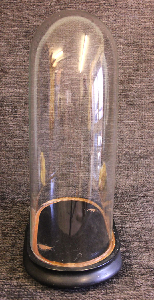 11700r4 Antique Glass Dome Display Case,