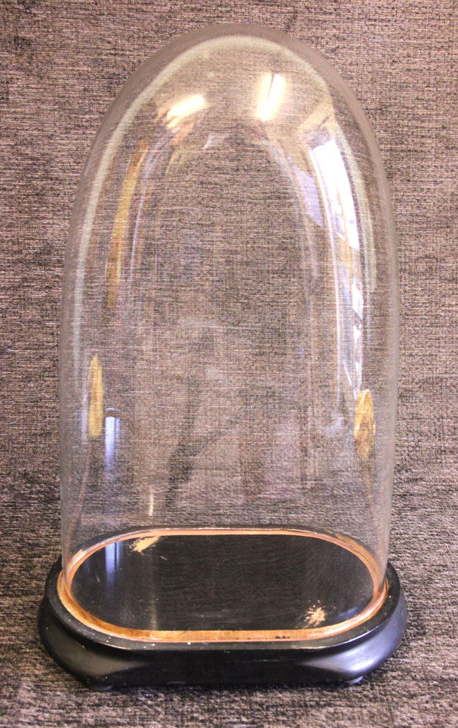 11700r6 Antique Glass Dome Display Case,