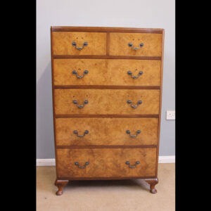 Antique Burr Walnut Tall Chest of Drawers