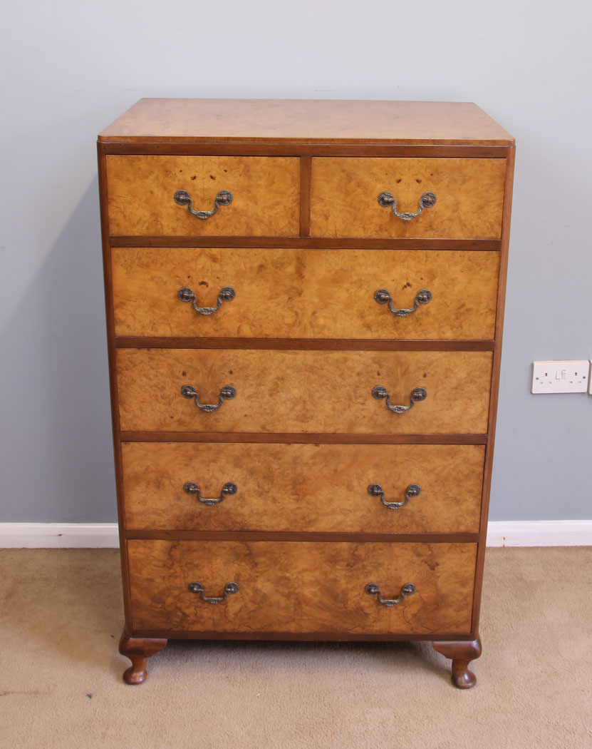 12015r13 Antique Burr Walnut Tall Chest of Drawers,