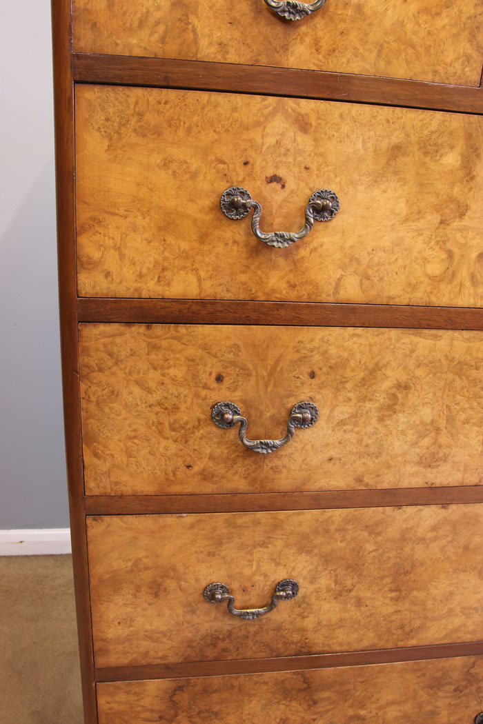 12015r6 Antique Burr Walnut Tall Chest of Drawers,